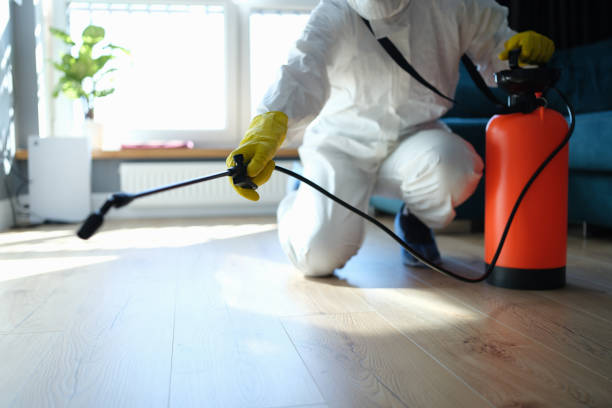 Reliable Odor Removal contractor in Princeton, FL by Trauma Clean Pros
